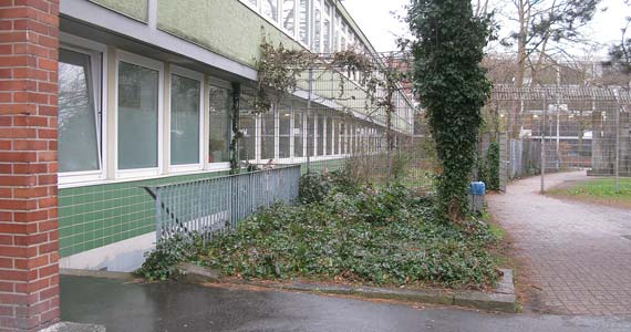 Elisabeth-von-Thüringen-;Gymnasium und Schiller-Gymnasium