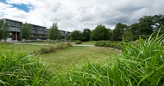 Wassermannpark