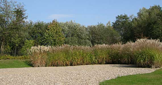 Wassermannpark