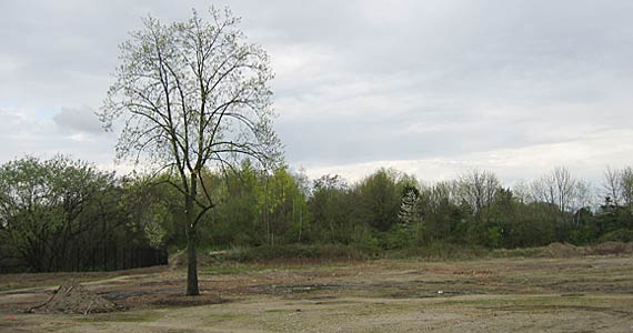 Wassermannpark